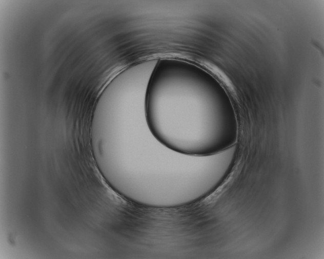 X0000091900809200709051103