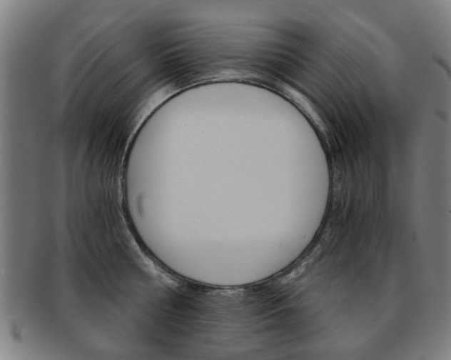 X0000091900810200709051103