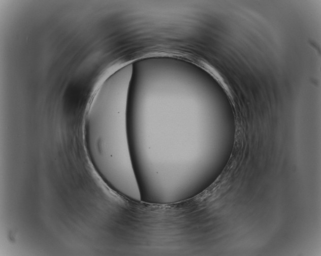 X0000091900811200709051103