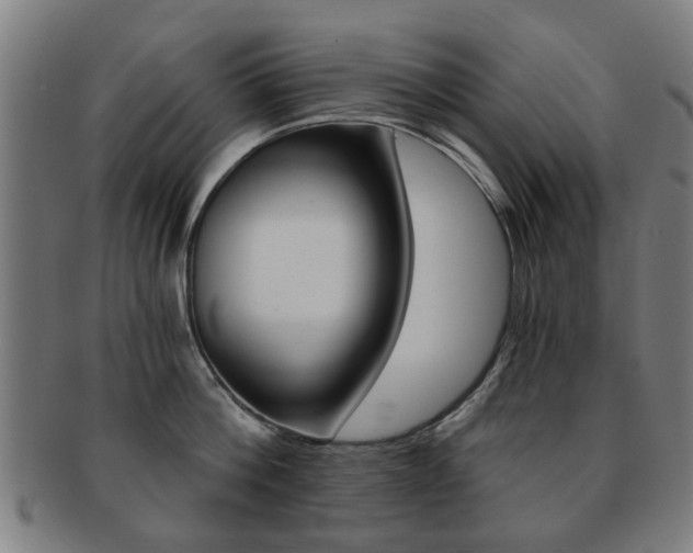 X0000091900812200709051102