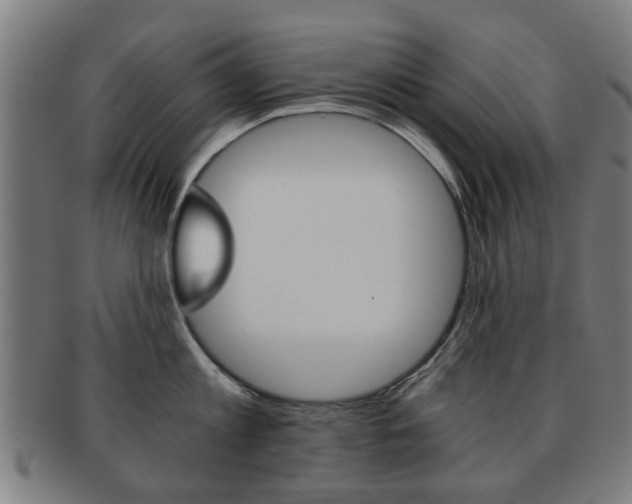 X0000091900813200709051102