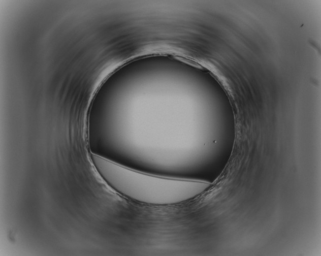 X0000091900815200709051102