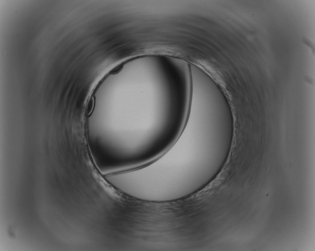 X0000091900816200709051102