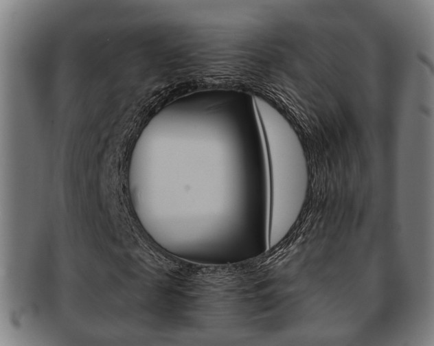 X0000091900817200709051102