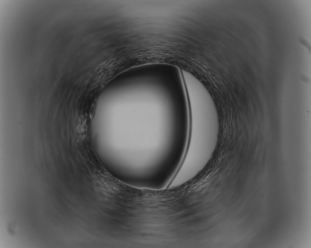 X0000091900818200709051102
