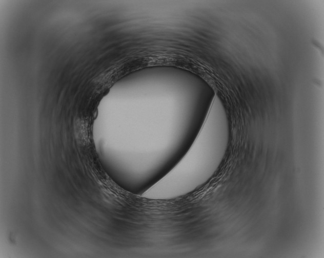 X0000091900819200709051102
