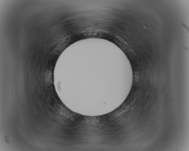 X0000091900820200709051102