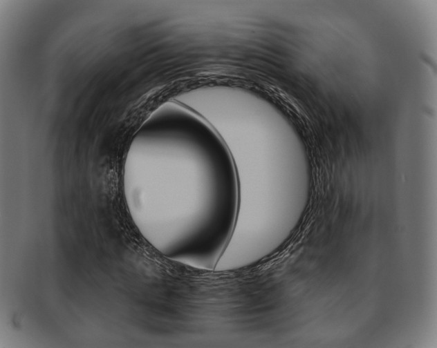 X0000091900821200709051102