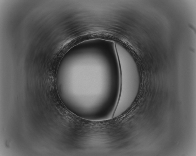 X0000091900822200709051102