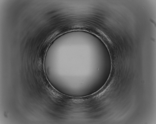X0000091900825200709051102