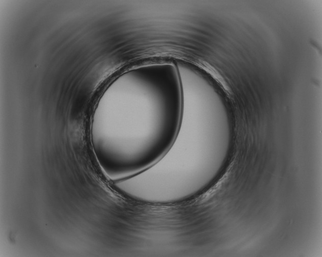 X0000091900826200709051102
