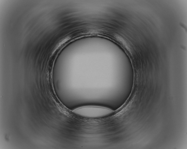 X0000091900827200709051102