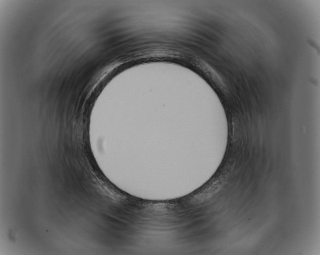 X0000091900828200709051102