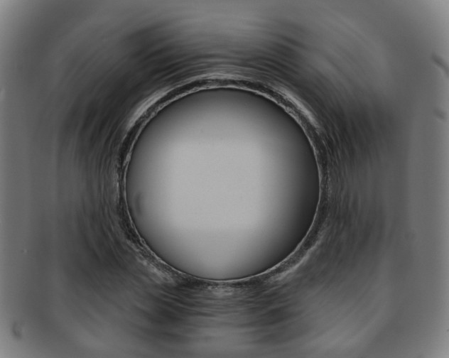 X0000091900829200709051102