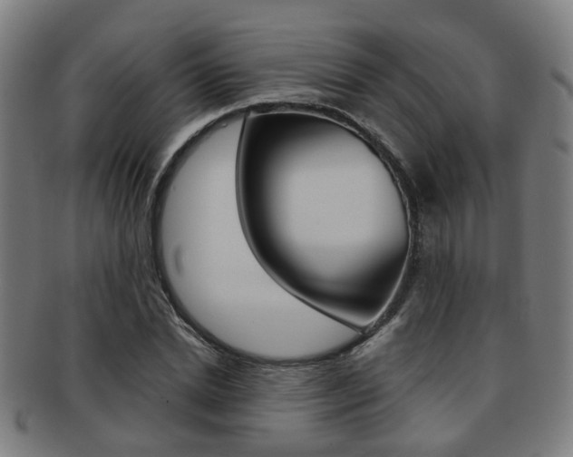 X0000091900830200709051102