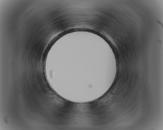 X0000091900832200709051102