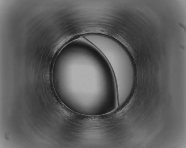 X0000091900834200709051102