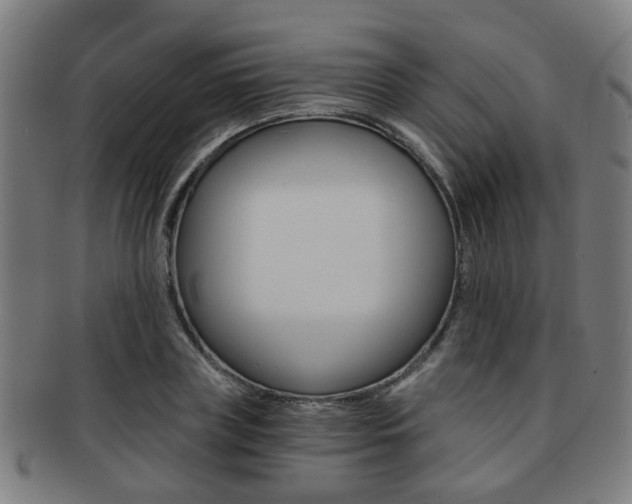 X0000091900835200709051102