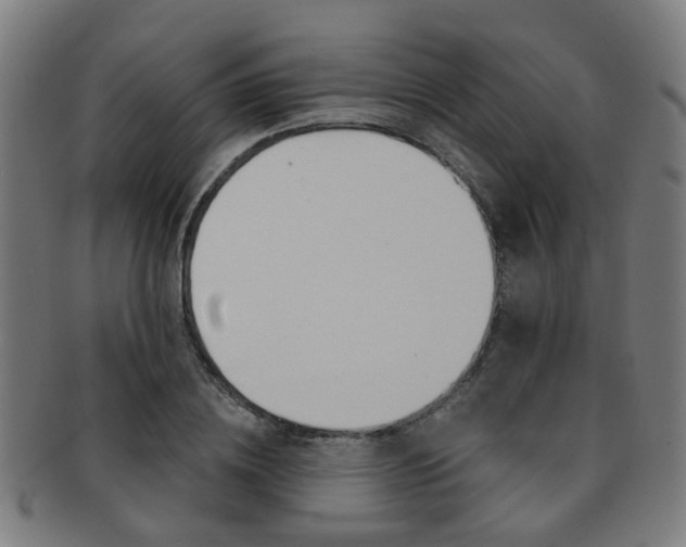 X0000091900836200709051102