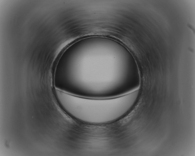 X0000091900838200709051102