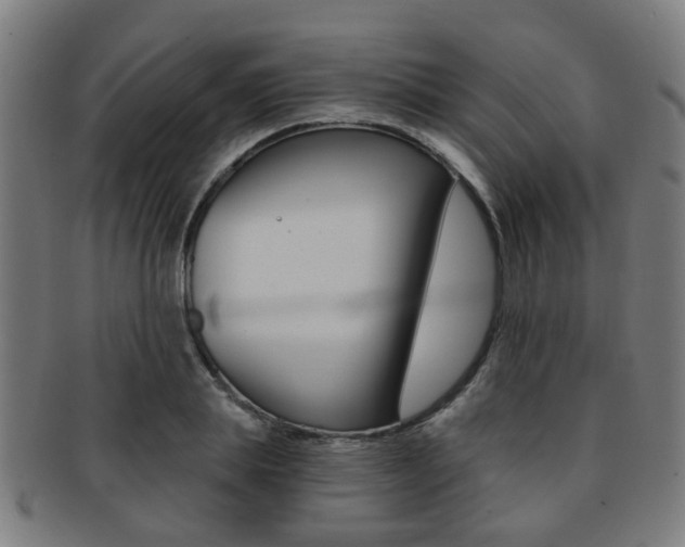 X0000091900839200709051102