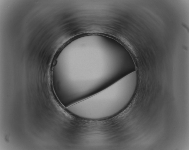 X0000091900840200709051102