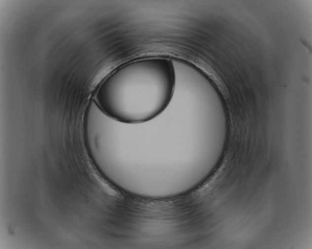 X0000091900842200709051102