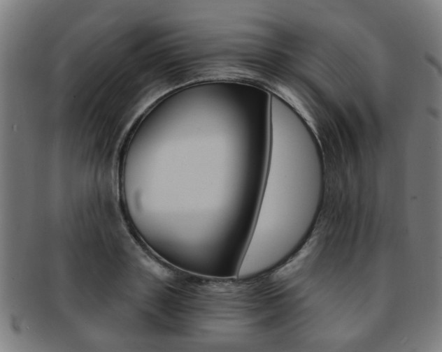 X0000091900843200709051102