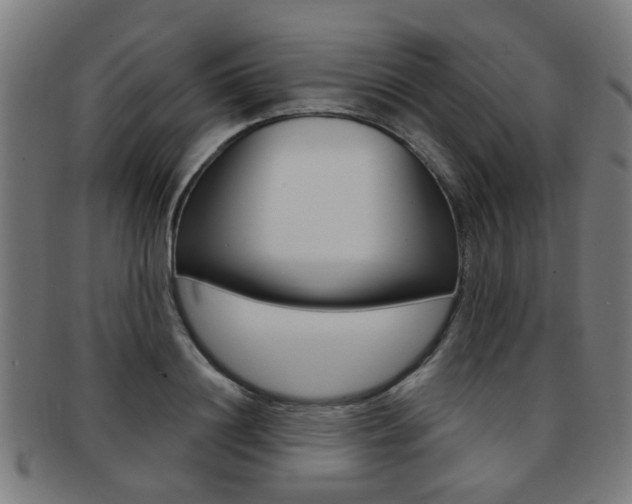 X0000091900844200709051102