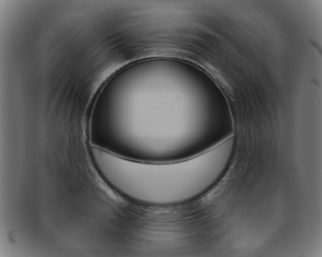 X0000091900846200709051102