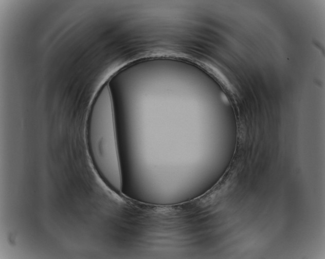 X0000091900847200709051102