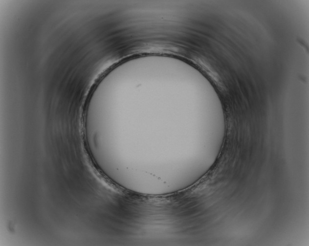 X0000091900848200709051102