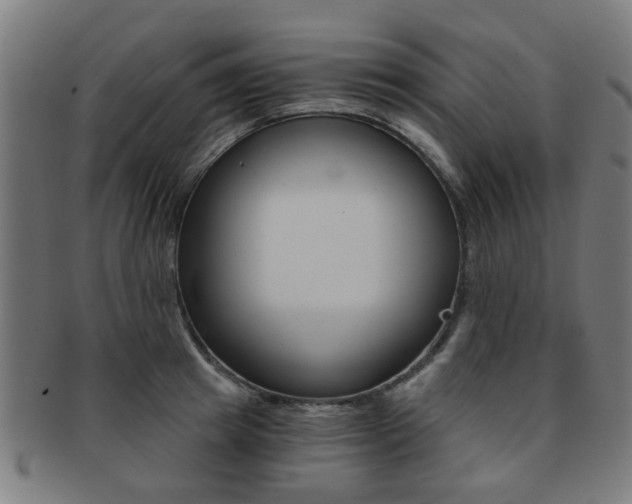 X0000091900849200709051102