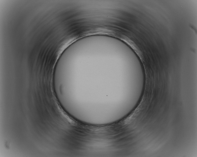 X0000091900850200709051102
