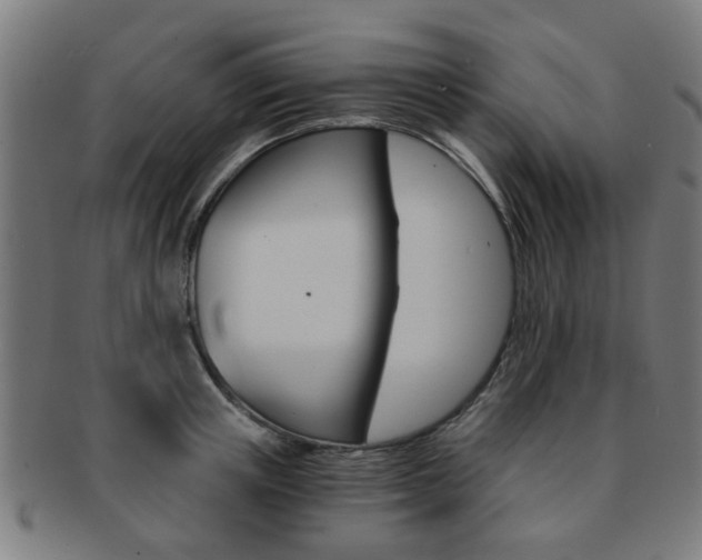 X0000091900851200709051102