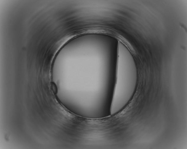 X0000091900852200709051102