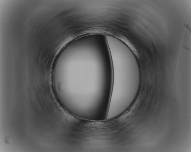 X0000091900853200709051102