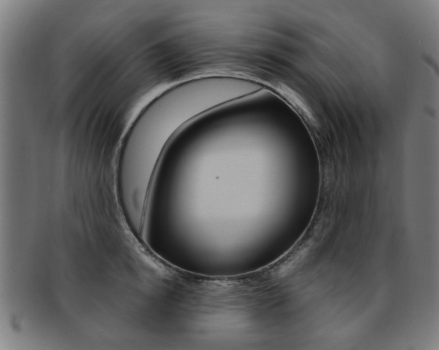 X0000091900854200709051102