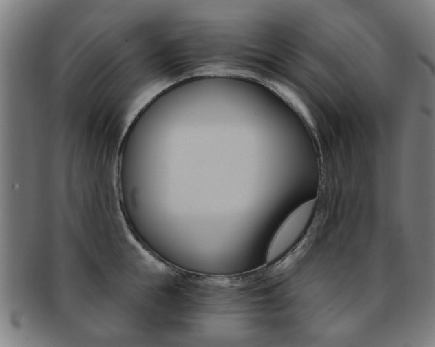X0000091900855200709051102