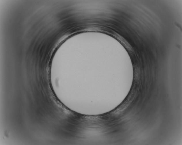 X0000091900856200709051102