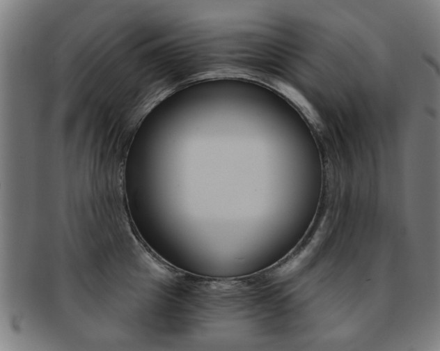 X0000091900857200709051102