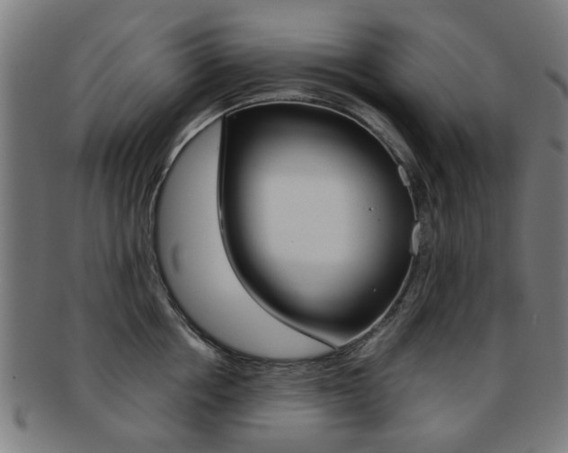 X0000091900858200709051102
