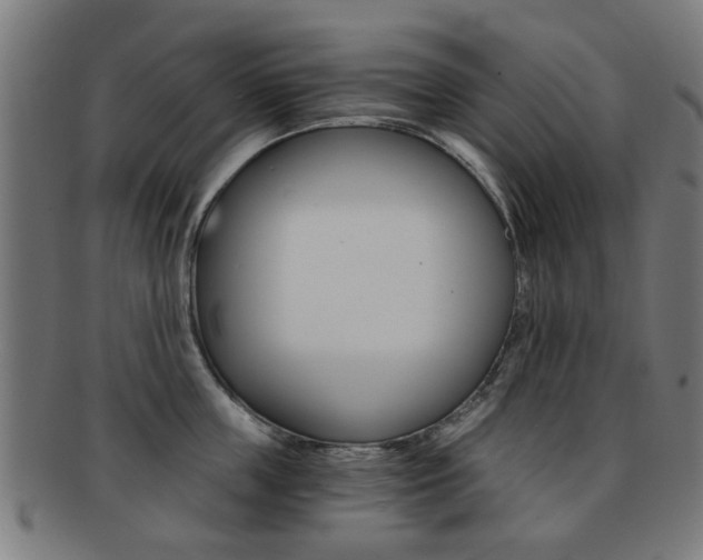 X0000091900859200709051102