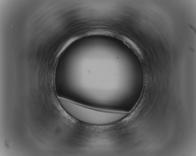 X0000091900860200709051102