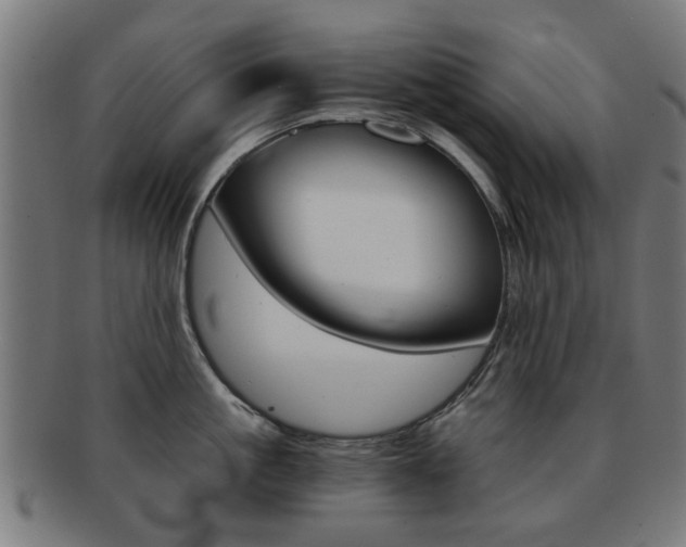 X0000091900861200709051102
