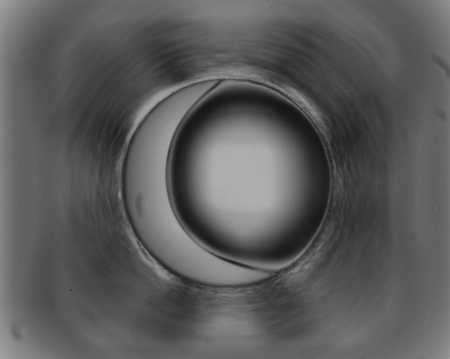 X0000091900862200709051102