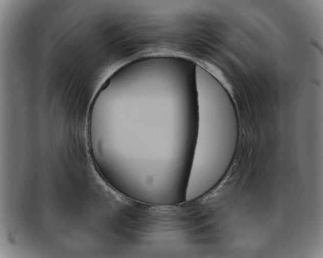 X0000091900863200709051102