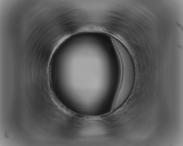 X0000091900864200709051102