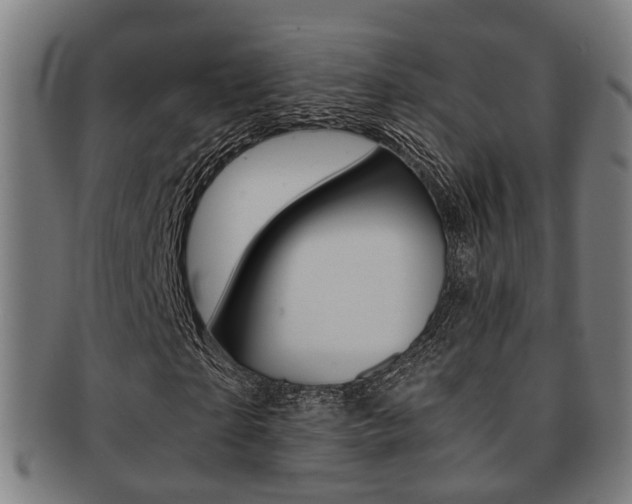 X0000091900865200709051102