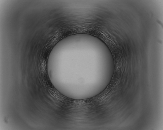 X0000091900866200709051102